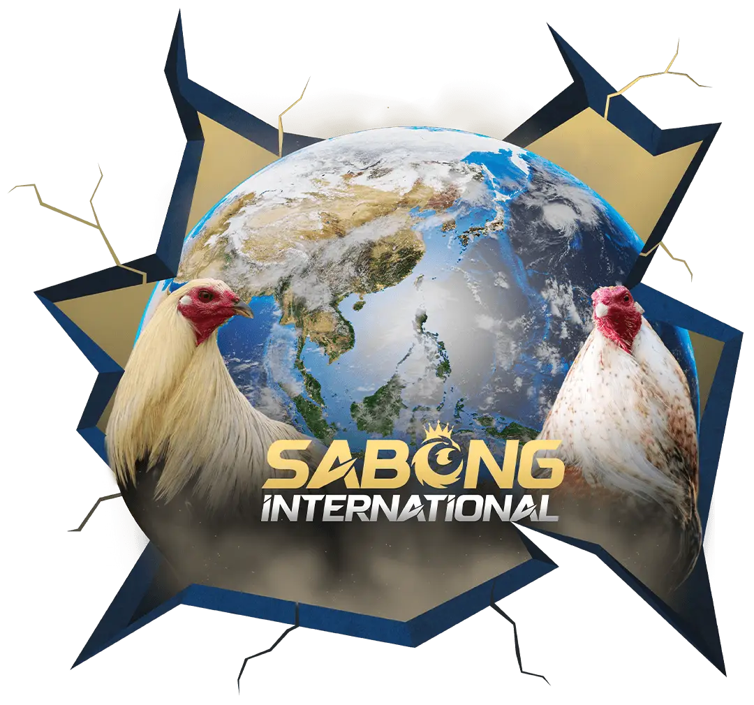 Sabong international community