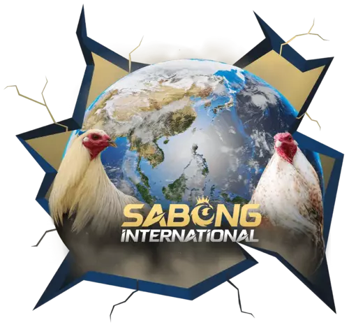 Sabong international