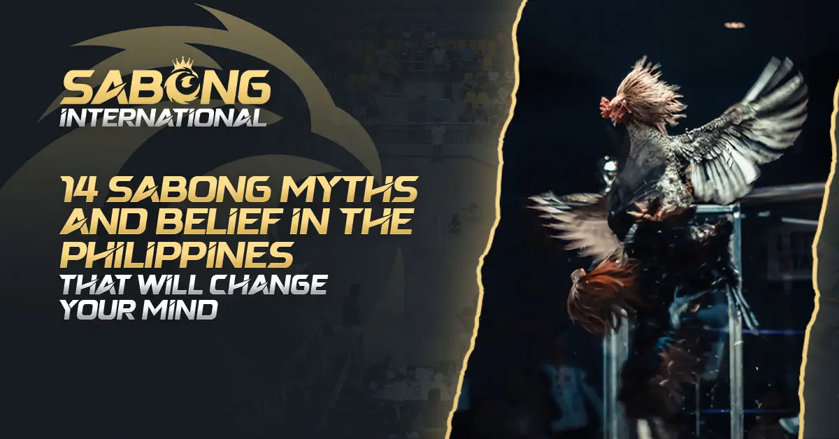 Sabong Myths