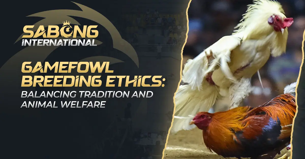 Gamefowl Breeding Ethics