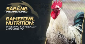 Gamefowl Nutrition