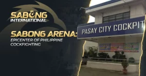 Sabong Arena