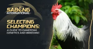 Gamefowl Genetics