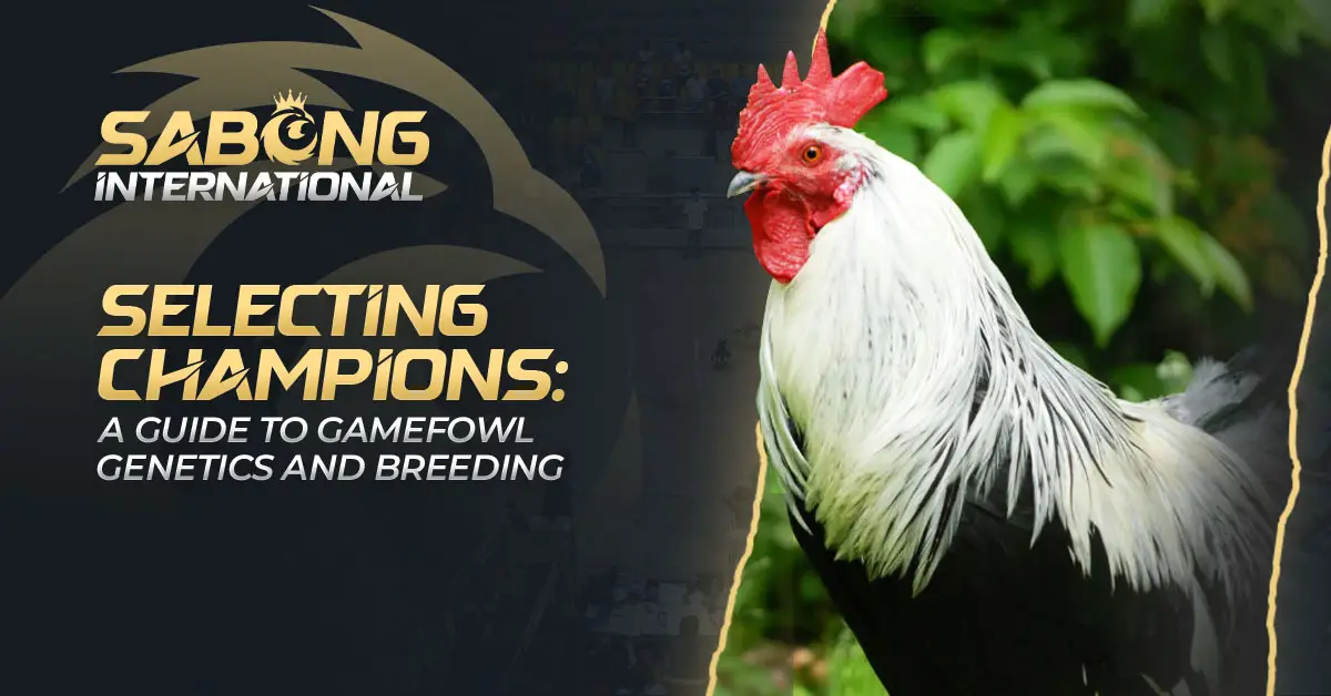 Gamefowl Genetics