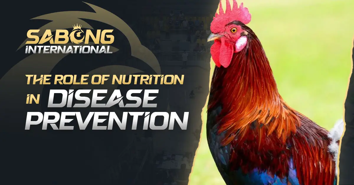 Gamefowl Nutrition